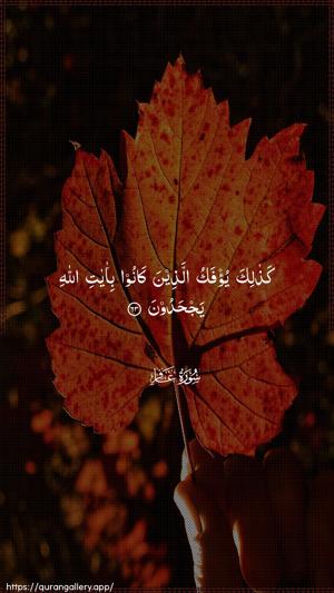 Al-Ghaafir Ayah 63 - Arabic wallpaper