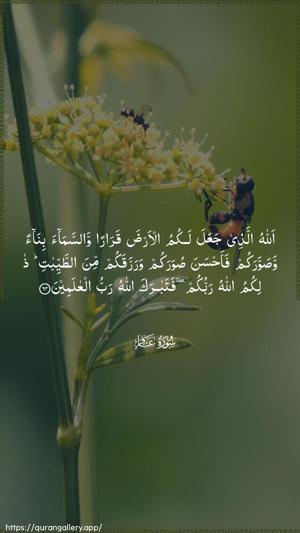 Al-Ghaafir Ayah 64 - Arabic wallpaper