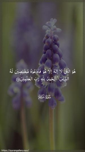 Al-Ghaafir Ayah 65 - Arabic wallpaper
