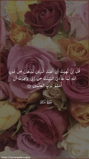 Al-Ghaafir Ayah 66 - Arabic wallpaper