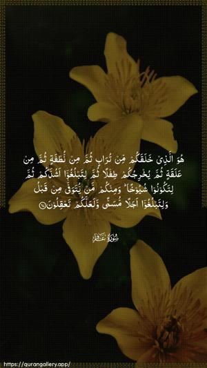 Al-Ghaafir Ayah 67 - Arabic wallpaper