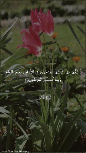 Al-Ghaafir Ayah 75 - Arabic wallpaper