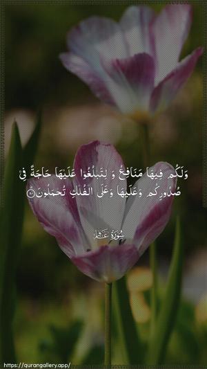 Al-Ghaafir Ayah 80 - Arabic wallpaper