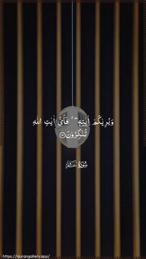 Al-Ghaafir Ayah 81 - Arabic wallpaper