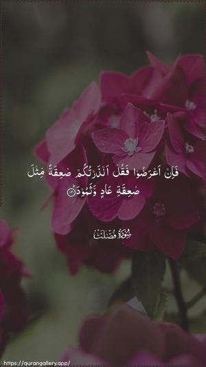 Fussilat Ayah 13 - Arabic wallpaper