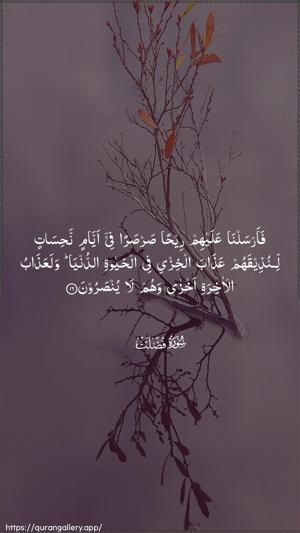 Fussilat Ayah 16 - Arabic wallpaper