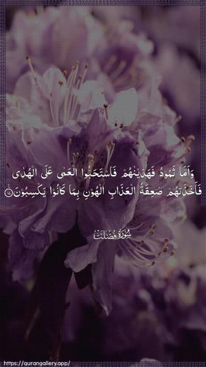 Fussilat Ayah 17 - Arabic wallpaper