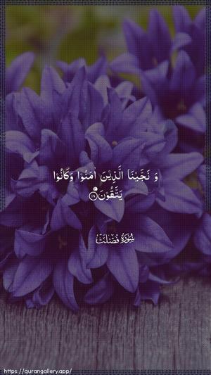 Fussilat Ayah 18 - Arabic wallpaper