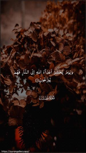Fussilat Ayah 19 - Arabic wallpaper