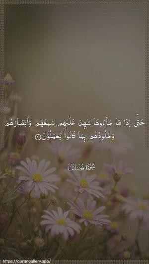 Fussilat Ayah 20 - Arabic wallpaper
