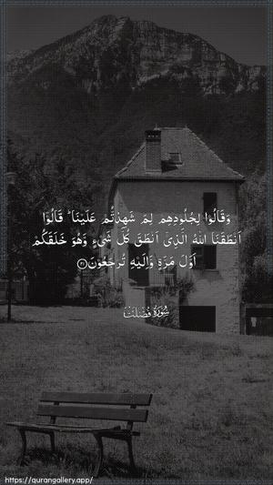Fussilat Ayah 21 - Arabic wallpaper