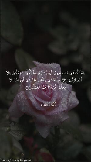 Fussilat Ayah 22 - Arabic wallpaper
