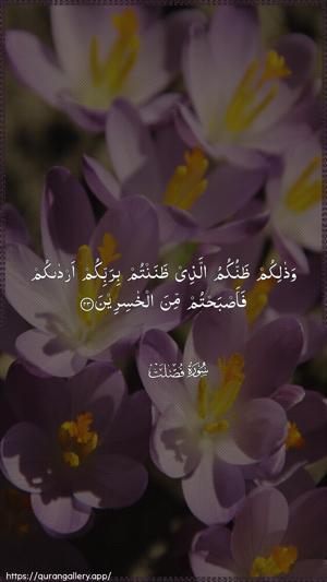 Fussilat Ayah 23 - Arabic wallpaper
