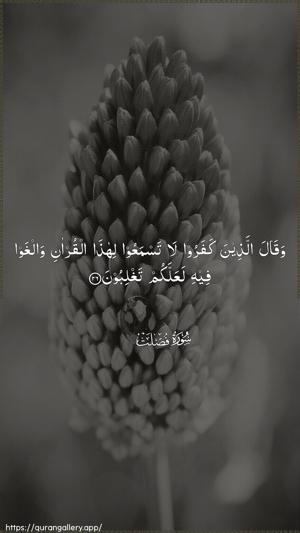 Fussilat Ayah 26 - Arabic wallpaper