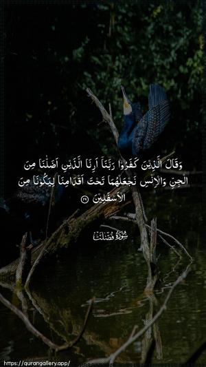 Fussilat Ayah 29 - Arabic wallpaper