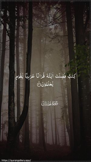 Fussilat Ayah 3 - Arabic wallpaper