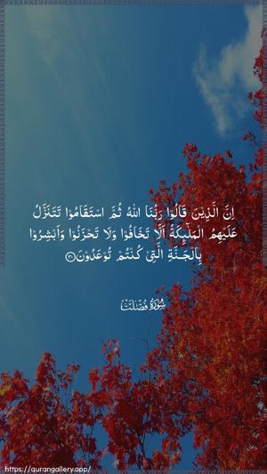 Fussilat Ayah 30 - Arabic wallpaper