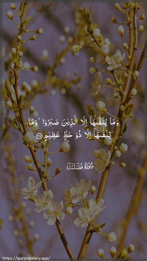 Fussilat Ayah 35 - Arabic wallpaper
