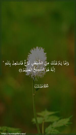 Fussilat Ayah 36 - Arabic wallpaper