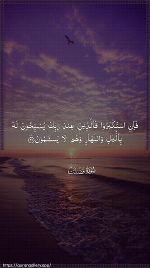 Fussilat Ayah 38 - Arabic wallpaper
