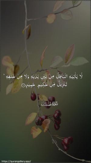 Fussilat Ayah 42 - Arabic wallpaper