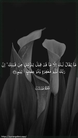 Fussilat Ayah 43 - Arabic wallpaper