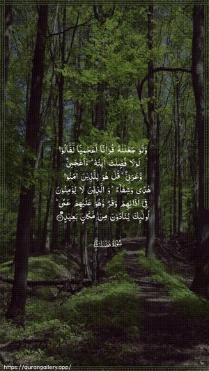 Fussilat Ayah 44 - Arabic wallpaper
