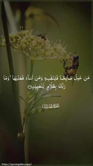 Fussilat Ayah 46 - Arabic wallpaper