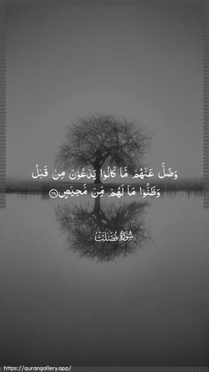 Fussilat Ayah 48 - Arabic wallpaper