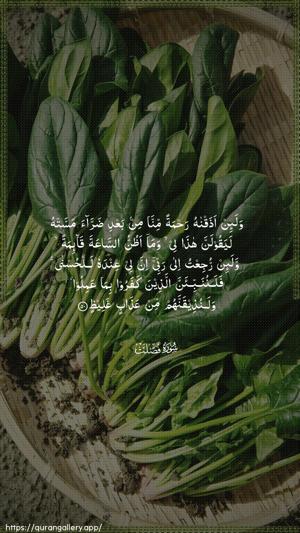 Fussilat Ayah 50 - Arabic wallpaper