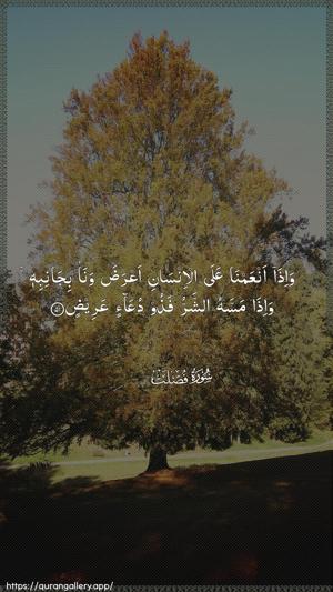 Fussilat Ayah 51 - Arabic wallpaper