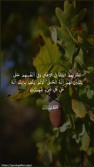 Fussilat Ayah 53 - Arabic wallpaper