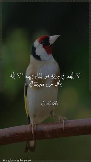Fussilat Ayah 54 - Arabic wallpaper