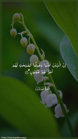 Fussilat Ayah 8 - Arabic wallpaper