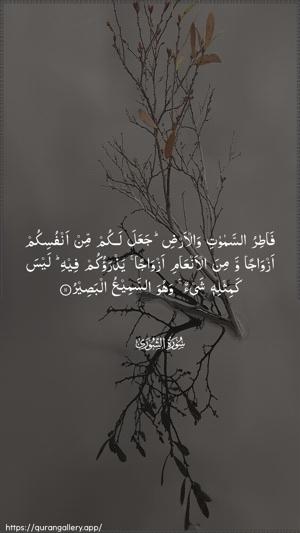 Ash-Shura Ayah 11 - Arabic wallpaper