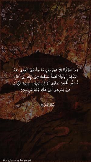 Ash-Shura Ayah 14 - Arabic wallpaper