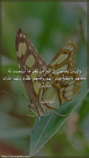 Ash-Shura Ayah 16 - Arabic wallpaper