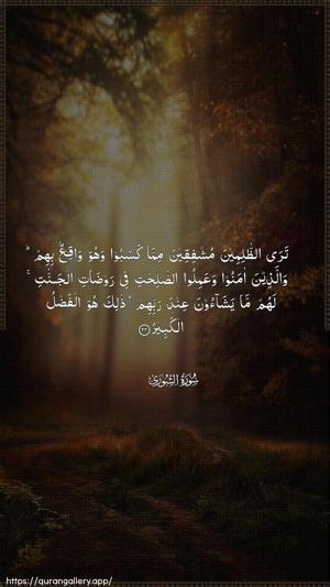 Ash-Shura Ayah 22 - Arabic wallpaper