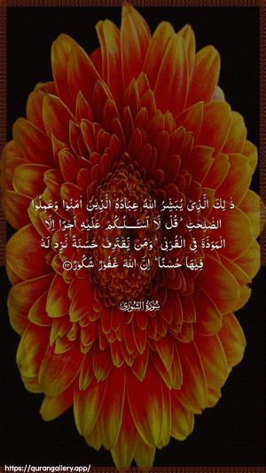 Ash-Shura Ayah 23 - Arabic wallpaper