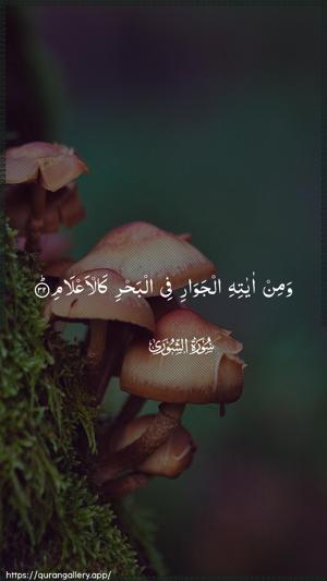 Ash-Shura Ayah 32 - Arabic wallpaper
