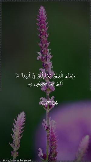 Ash-Shura Ayah 35 - Arabic wallpaper