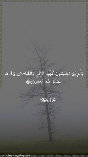 Ash-Shura Ayah 37 - Arabic wallpaper