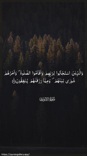 Ash-Shura Ayah 38 - Arabic wallpaper