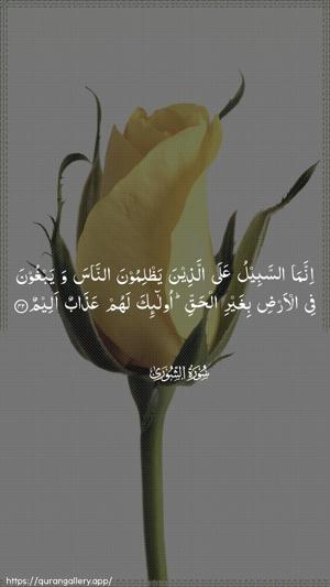 Ash-Shura Ayah 42 - Arabic wallpaper