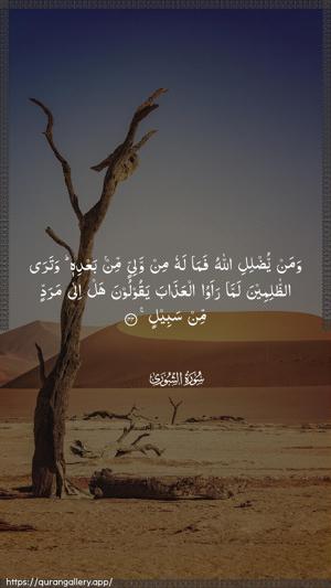 Ash-Shura Ayah 44 - Arabic wallpaper