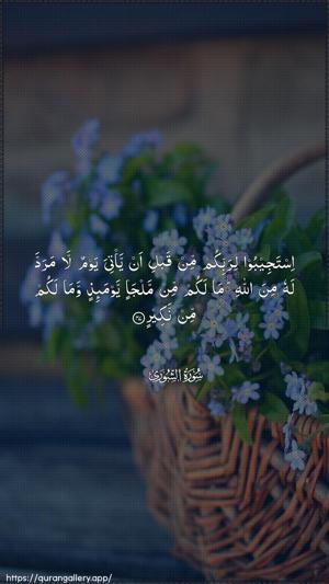 Ash-Shura Ayah 47 - Arabic wallpaper