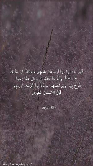 Ash-Shura Ayah 48 - Arabic wallpaper