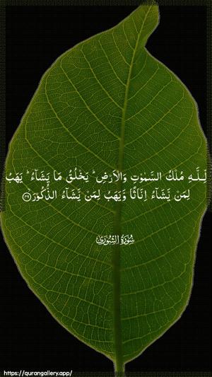 Ash-Shura Ayah 49 - Arabic wallpaper