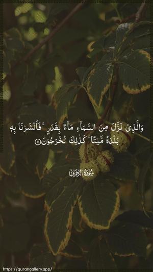 Az-Zukhruf Ayah 11 - Arabic wallpaper