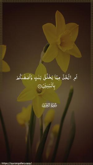 Az-Zukhruf Ayah 16 - Arabic wallpaper